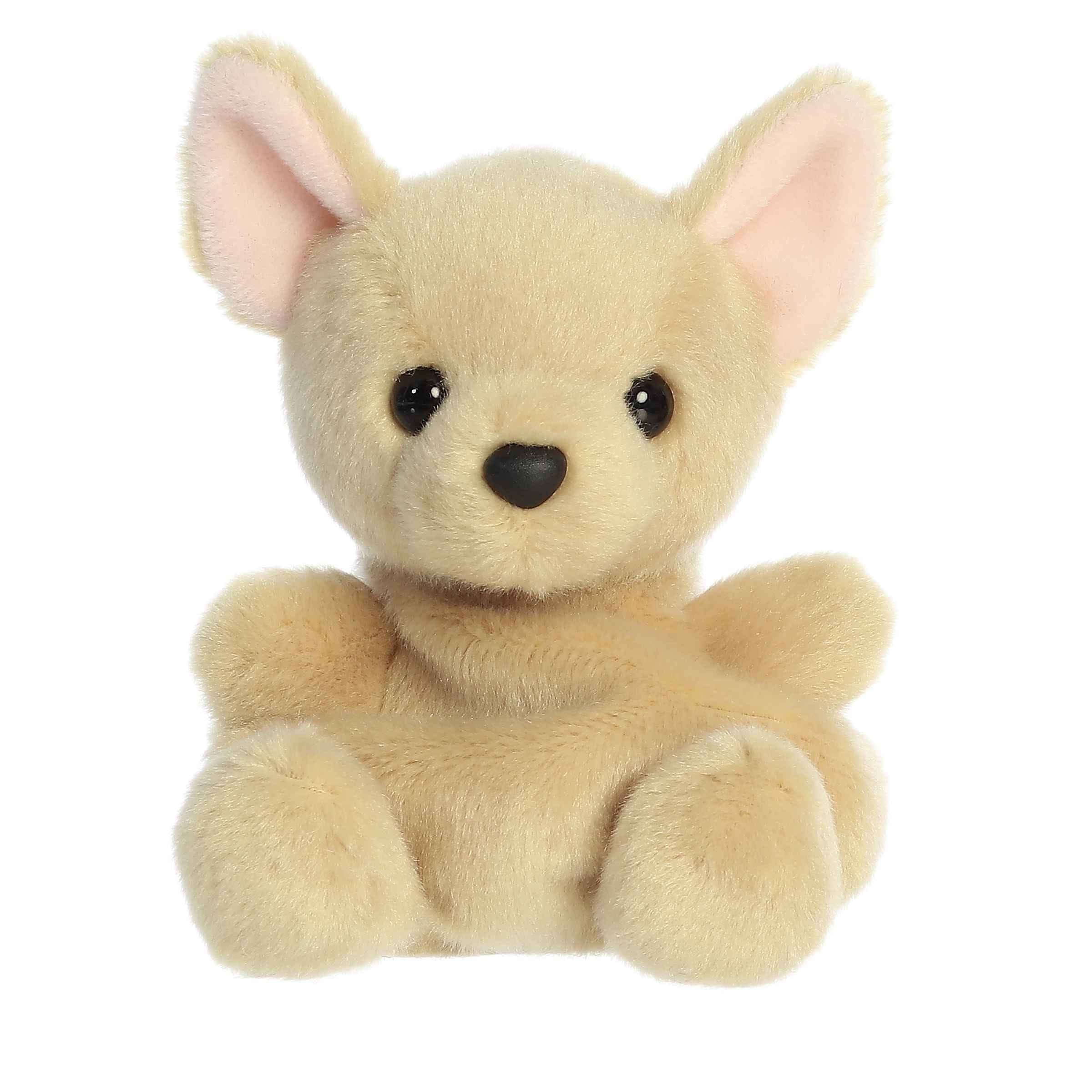 Aurora Cookie Chihuahua Palm Pals 5" Plush Kawaii Gifts