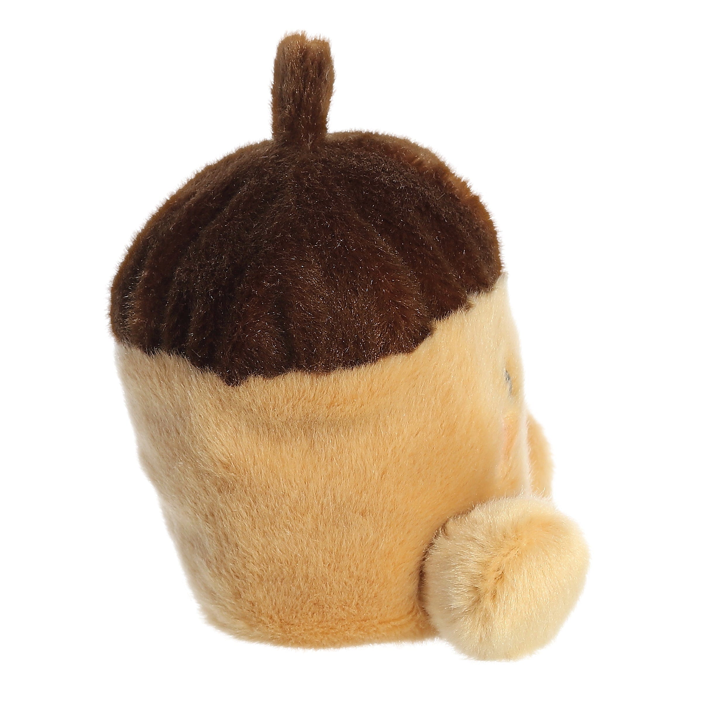 Aurora Oak Acorn Palm Pal Kawaii Gifts 092943992221