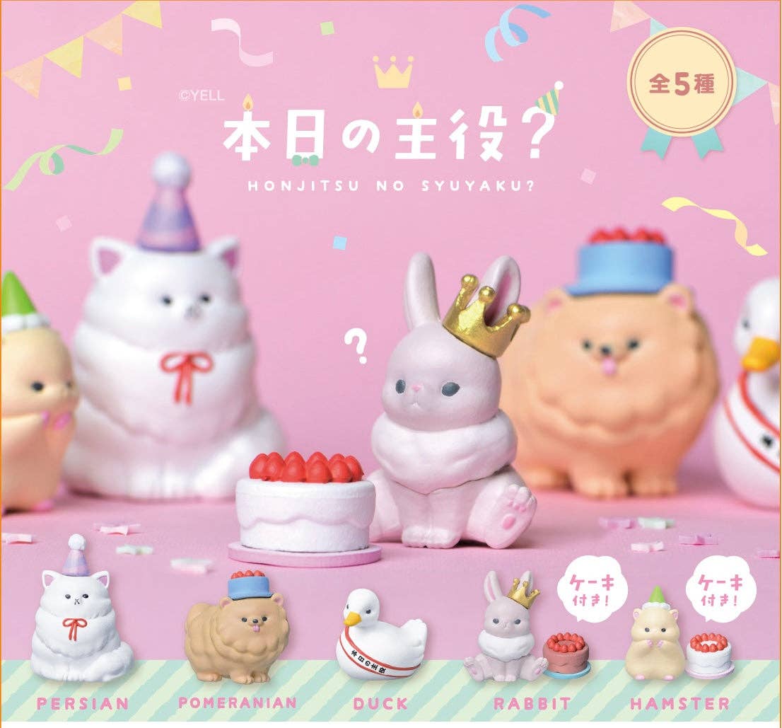 Happy Birthday Party Surprise Box – Kawaii Gifts