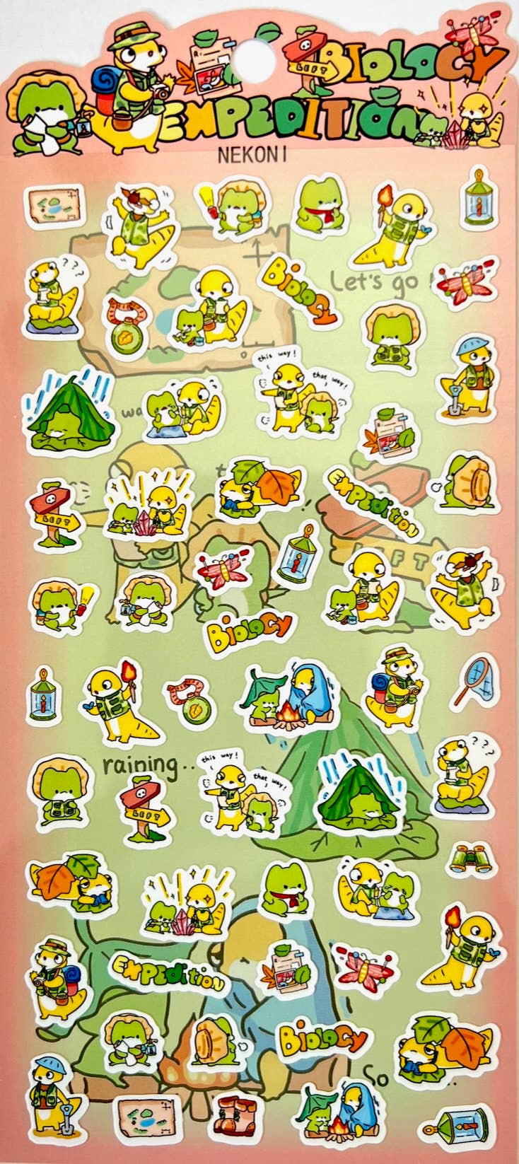 BCmini FROG BIOLOGY EXPEDITION STICKERS Kawaii Gifts