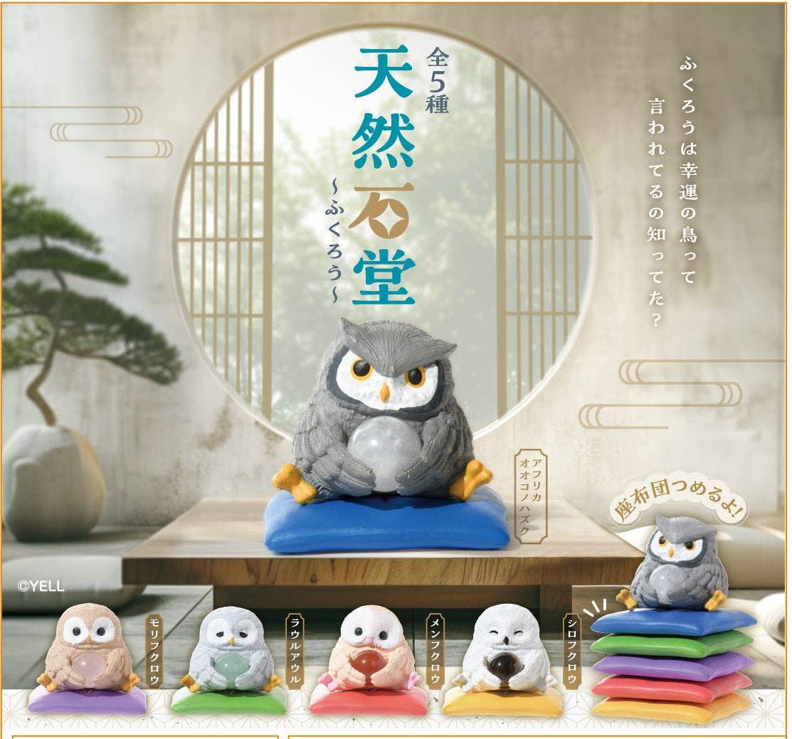 BCmini Owl Crystal Ball Surprise Box Kawaii Gifts