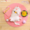 Elska Meow Bell Kitty Easy Moment Series 3" Figure Surprise Box Kawaii Gifts 6974969420879