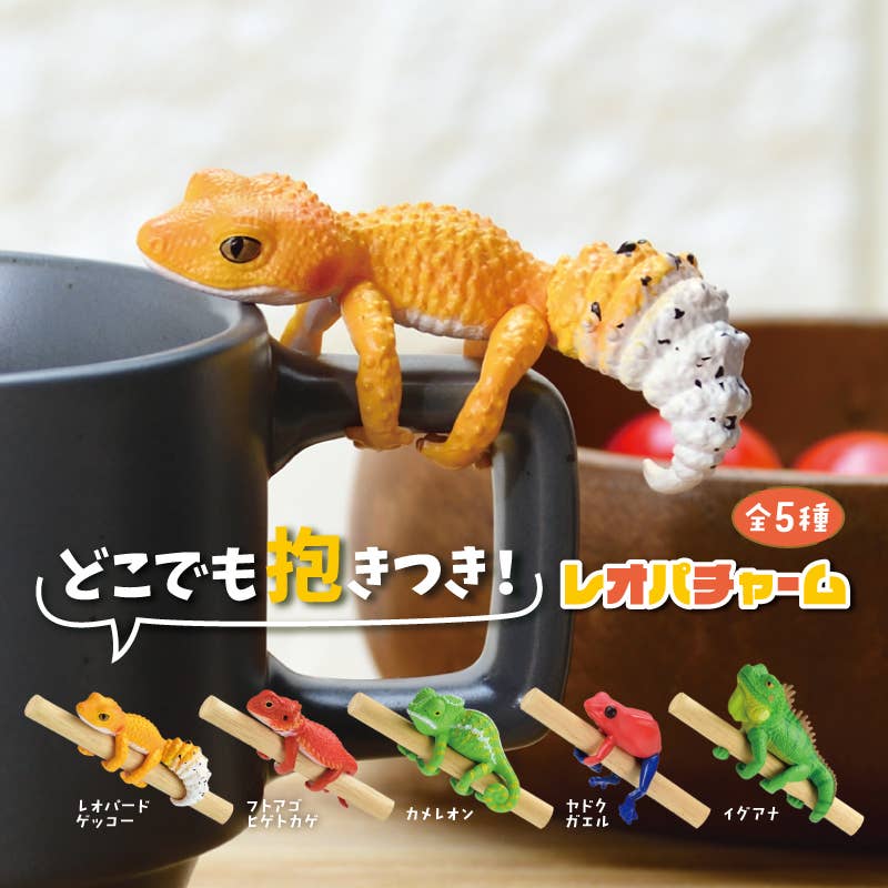 Cuddles Everywhere! Reptilian Charm Surprise Box – Kawaii Gifts