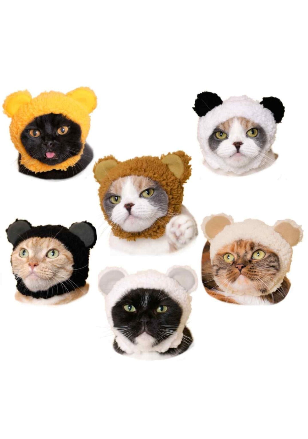 Clever Idiots Bear Cat Cap Surprise Box Kawaii Gifts 4580045300274