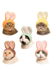 Clever Idiots Rabbit Cat Cap Surprise Box Kawaii Gifts 4580275179367