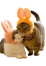 Clever Idiots Rabbit Cat Cap Surprise Box Kawaii Gifts 4580275179367