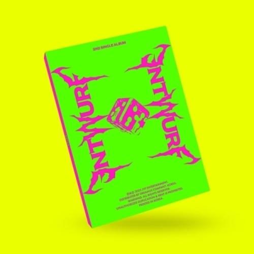 Korea Pop Store NMIXX - ENTWURF (Light VER.) Kawaii Gifts