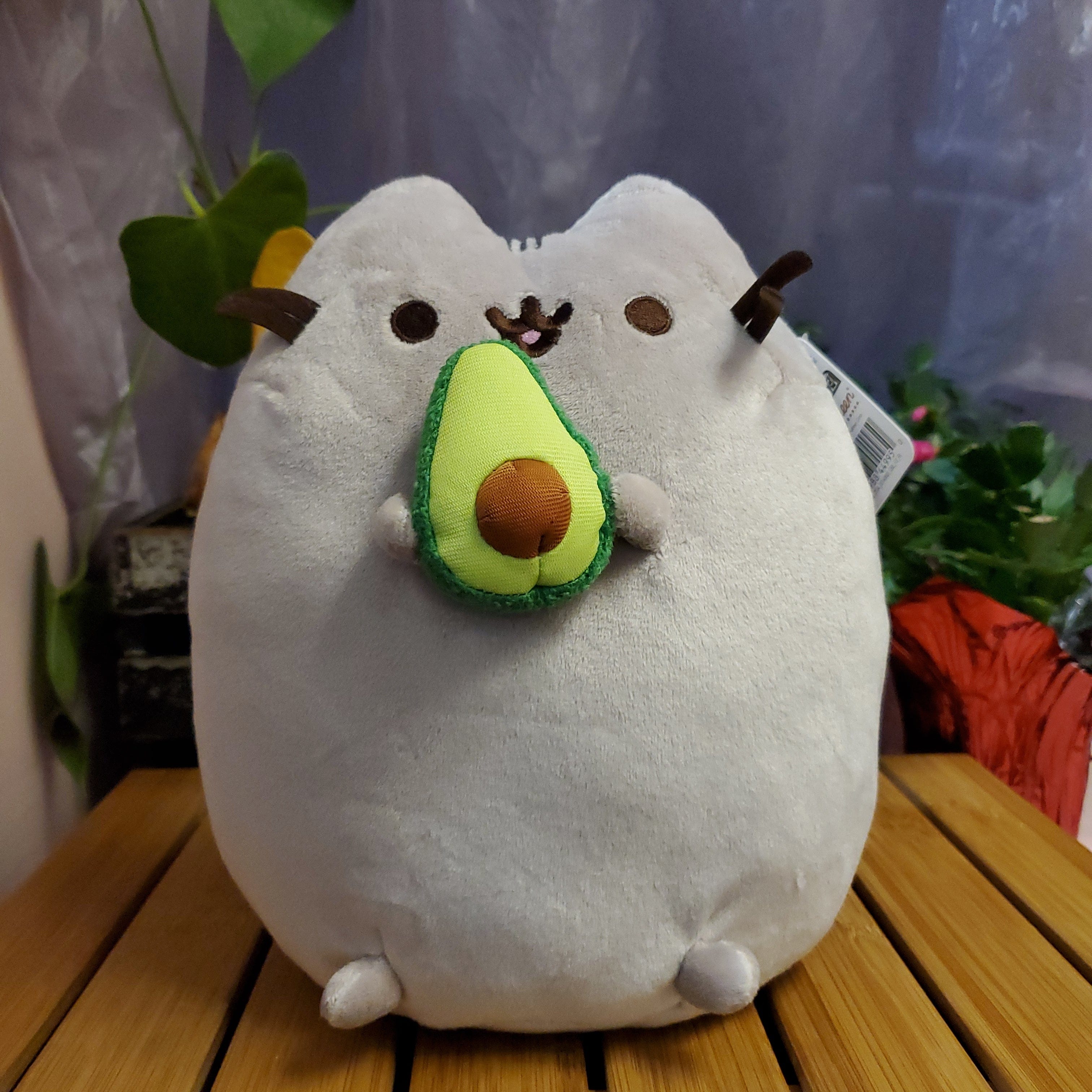 Spin Master Pusheen with Avocado 10" Plush Kawaii Gifts 778988449950