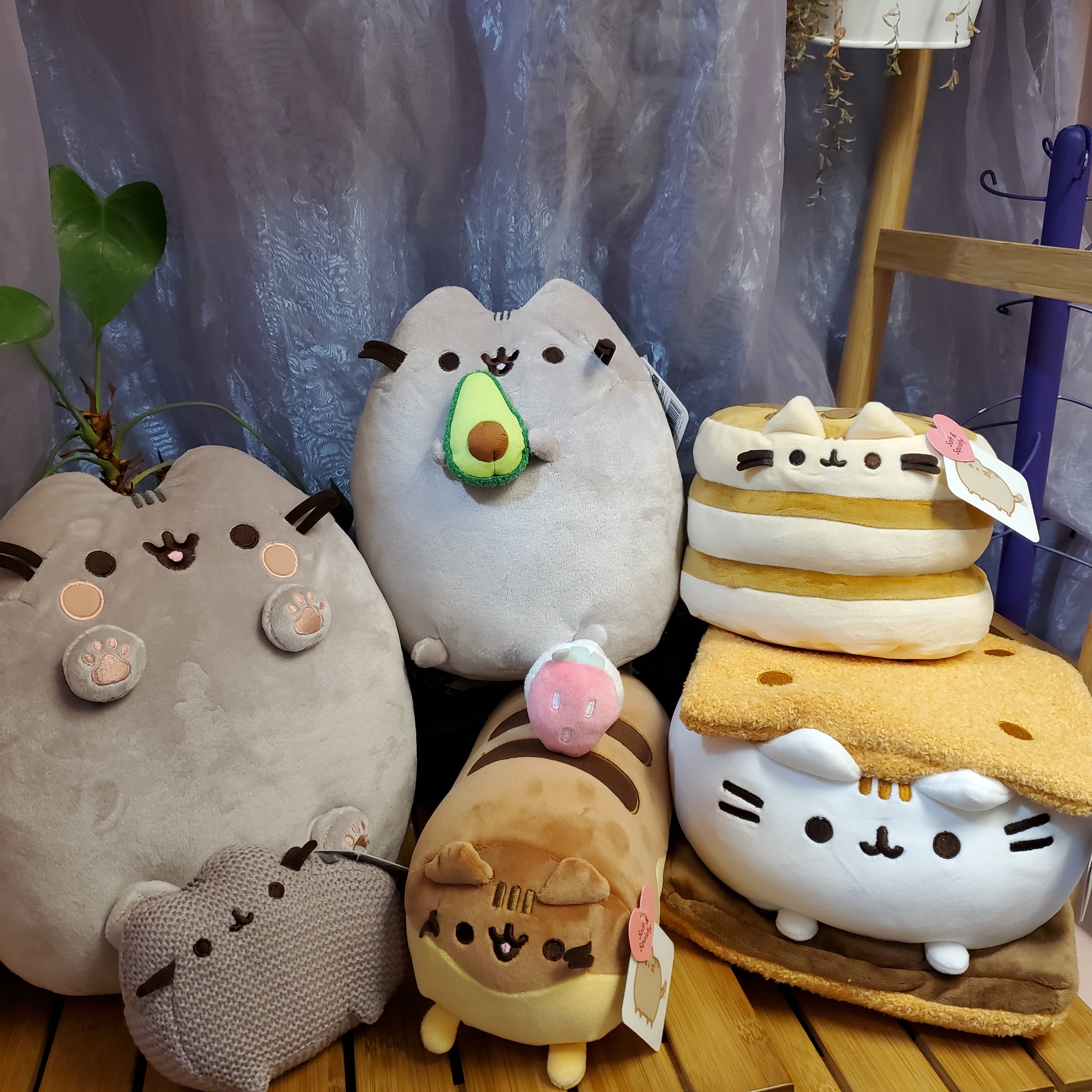 New Year, New Pusheen!