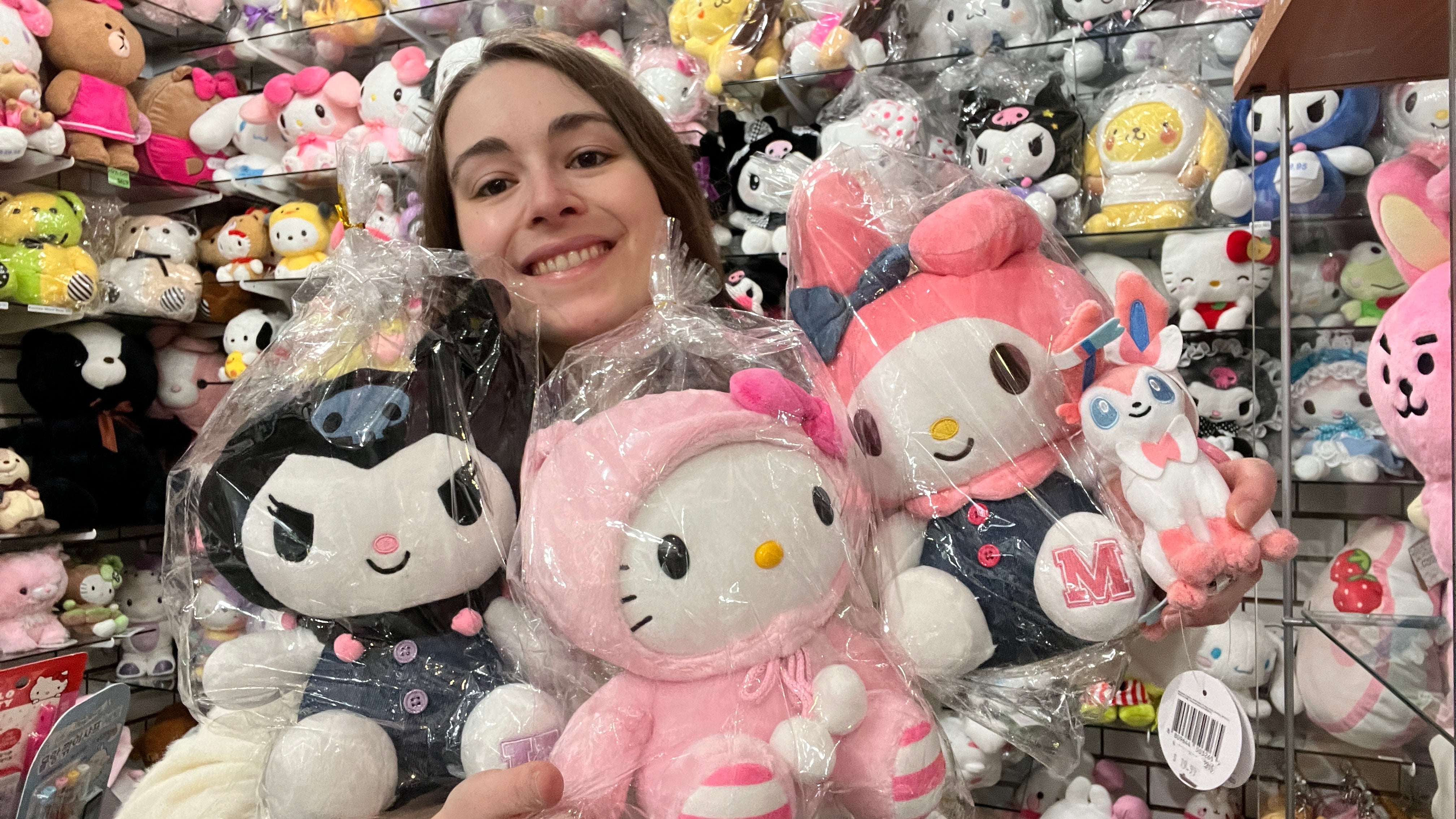 New Sanrio Plush & More