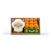 100% Soft Bodega Kitties S.1 Surprise Box Kawaii Gifts