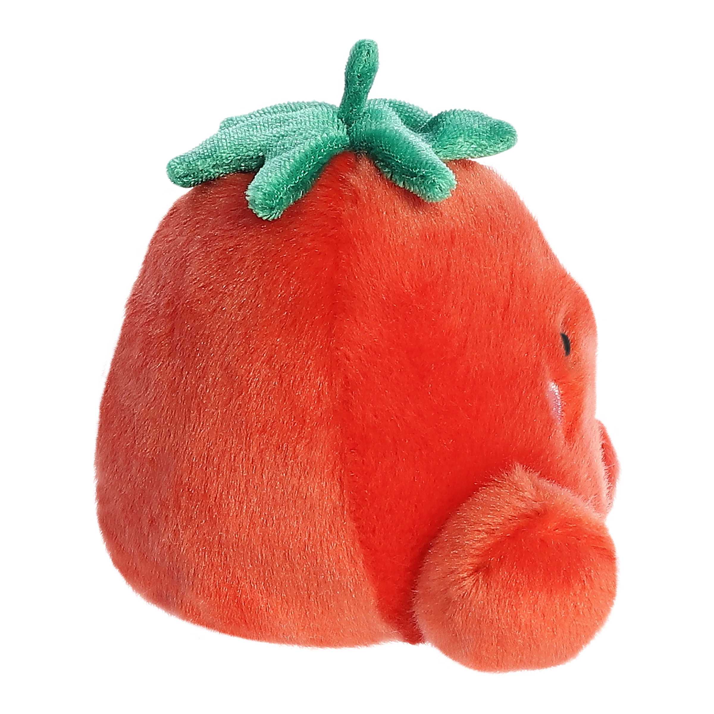 Aurora Boyd Tomato Palm Pal 5" Plush Kawaii Gifts 092943337923