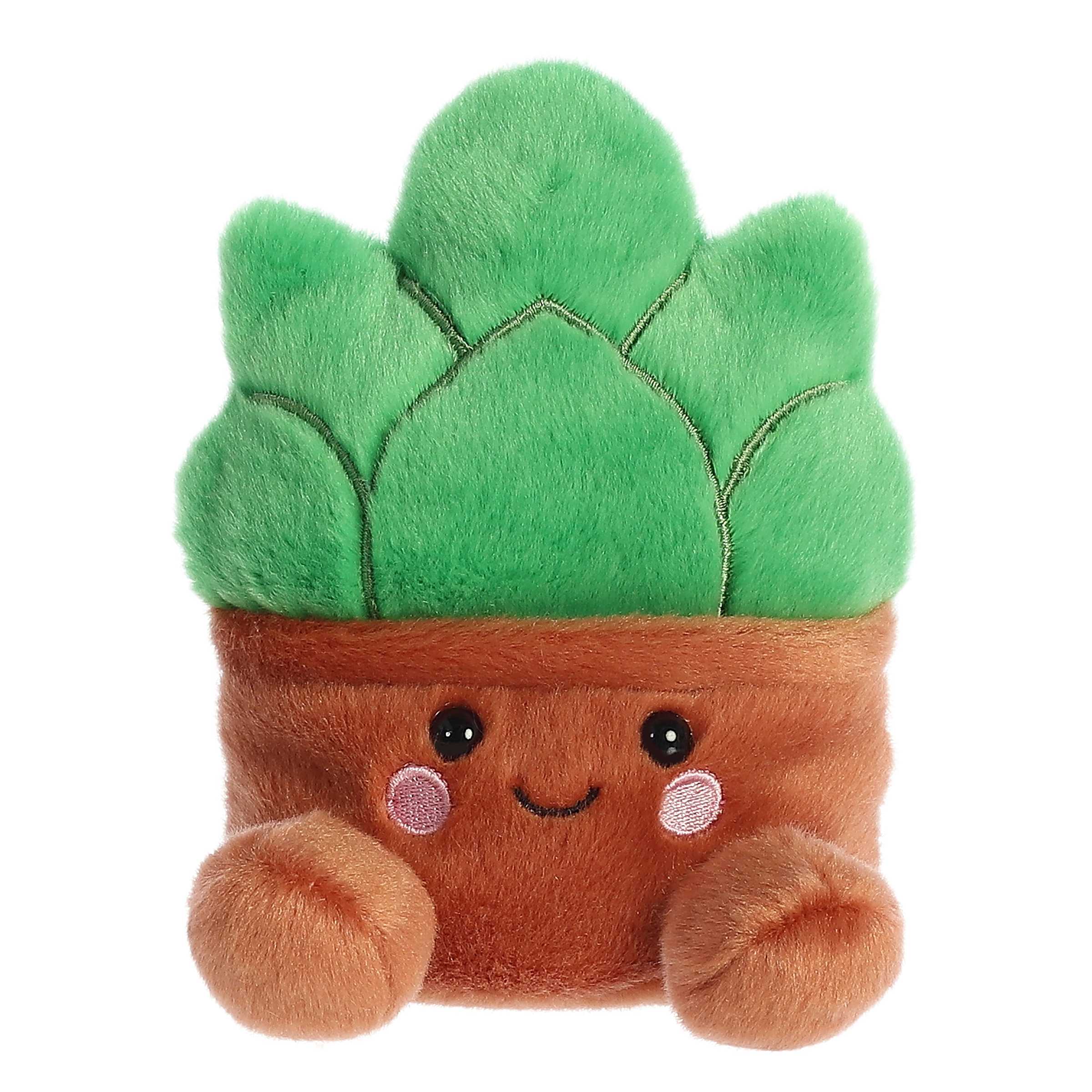 Aurora Gig Succulent Palm Pal Kawaii Gifts