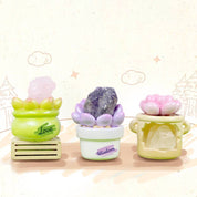 BCmini Cactus & Succulent Crystal Blind Box Kawaii Gifts