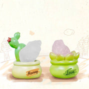 BCmini Cactus & Succulent Crystal Blind Box Kawaii Gifts