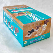 BCmini Cleaning Dogs Surprise Box Kawaii Gifts 4570198770109