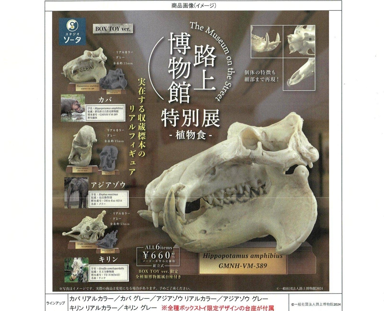 BCmini The Museum On the Street Fossil Surprise Box Kawaii Gifts 4582779490900