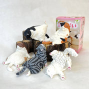 BCmini Yell World Sleeping Cat Surprise Box Kawaii Gifts