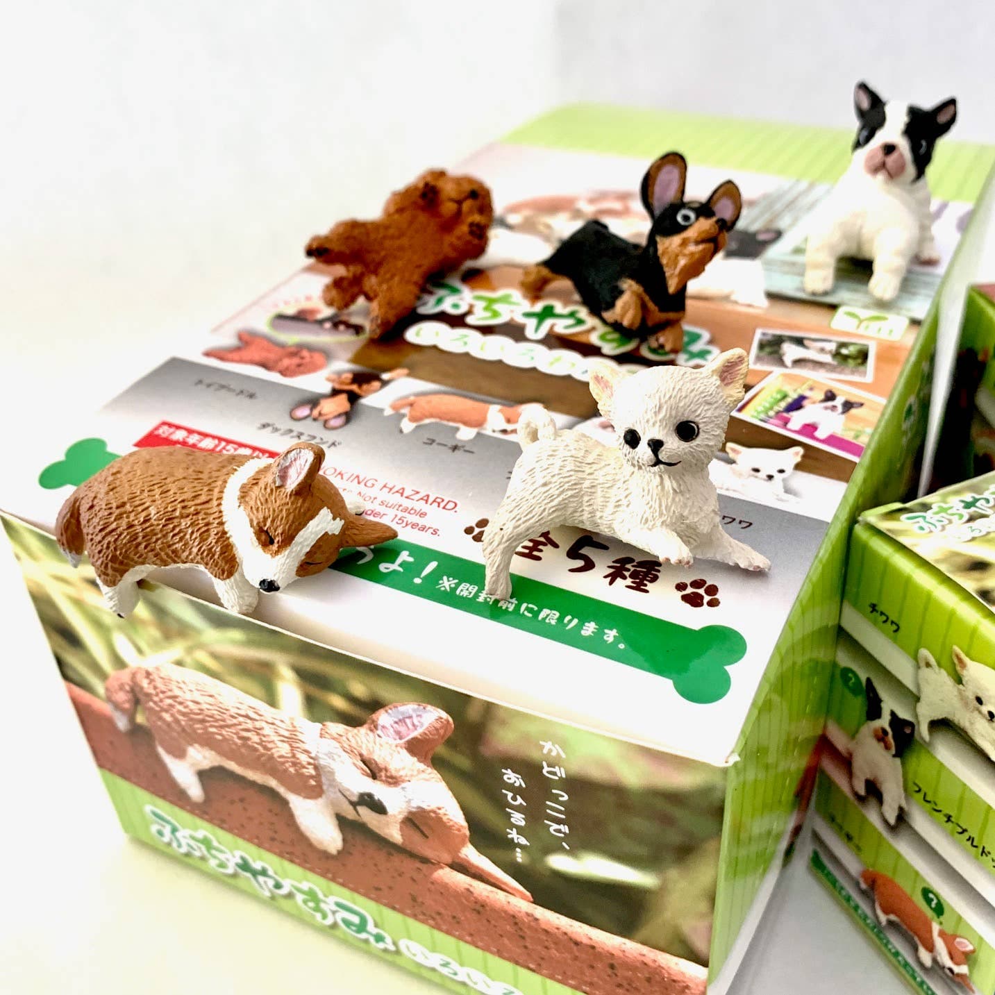 BCmini Yell World Sleepy Dog Surprise Box Kawaii Gifts