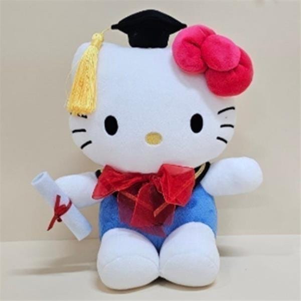 BeeCrazee Sanrio Graduation 10" Plushies Hello Kitty Kawaii Gifts 8809962083104