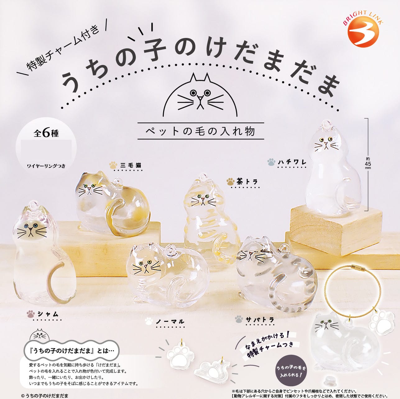BeeCrazee Uchinoko No Kedamadama Surprise Keychain Blind Box Kawaii Gifts 4573558505755