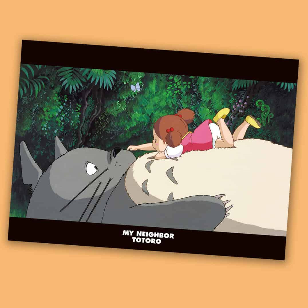 Clever Idiots My Neighbor Totoro A4 Plastic File Folders Mei & Totoro Kawaii Gifts 4549743646879