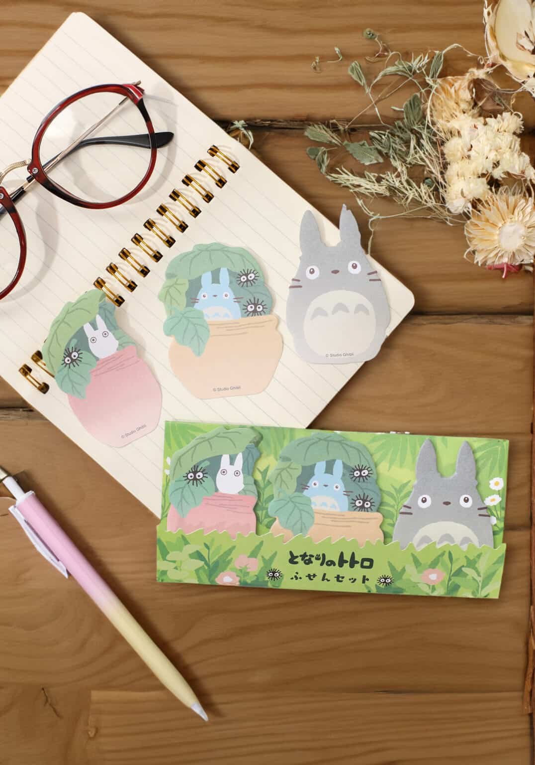 Clever Idiots Copy of Studio Ghibli Classics Sticky Notes Sets My Neighbor Totoro Kawaii Gifts
