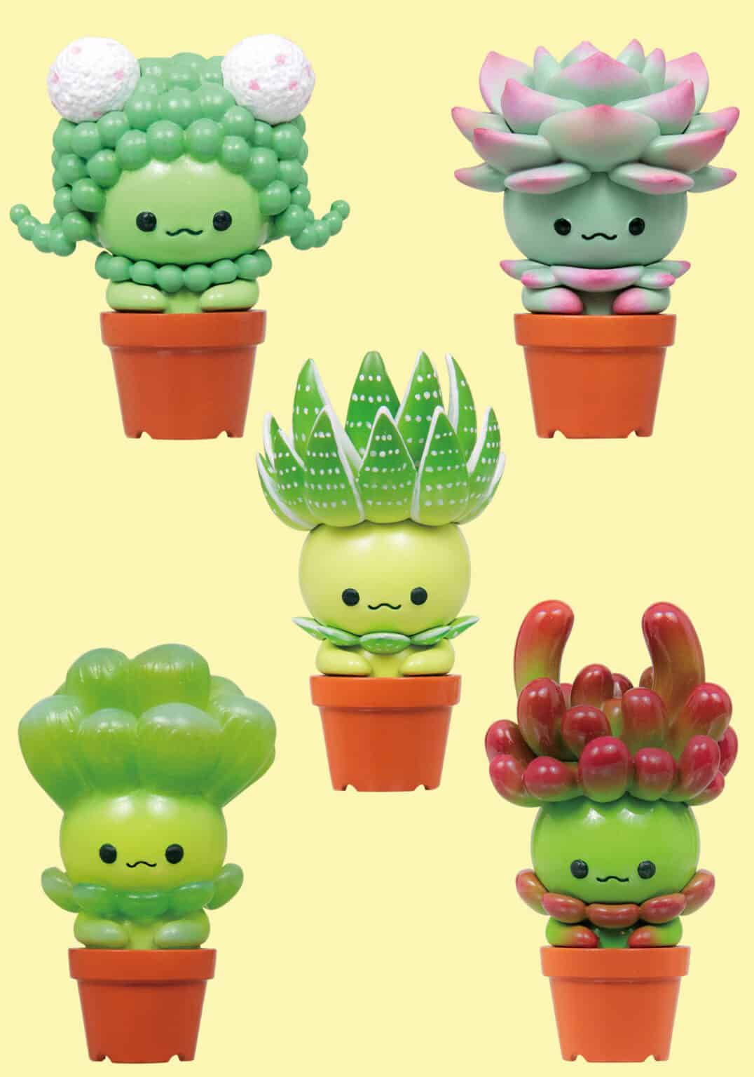 Clever Idiots Succulent Friends Surprise Box Kawaii Gifts 4589795378076
