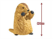 Hakubundo: a division of JPT America, Inc. Groundhog Marmot Battle Royale Surprise Mini Figure Blind Box Kawaii Gifts 4580800214037