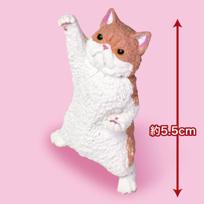 Hakubundo Cat NYAOOOO! Series 2 Surprise Box Kawaii Gifts 4570198779614