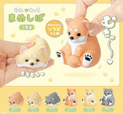 Hakubundo 【JAPANESE BLIND BOX】SOFT & SQUISHY SHIBA INU Kawaii Gifts 4570198774817