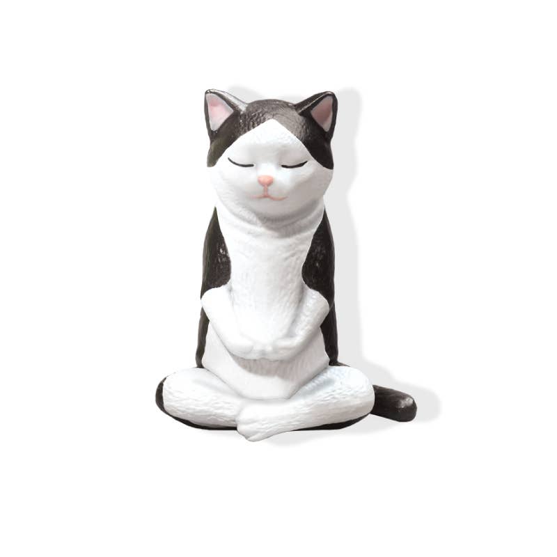 Zazen Animals Surprise Box – Kawaii Gifts