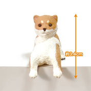 Hakubundo Yell Resting Shibu Surprise Figure Blind Box Kawaii Gifts 4570198782850