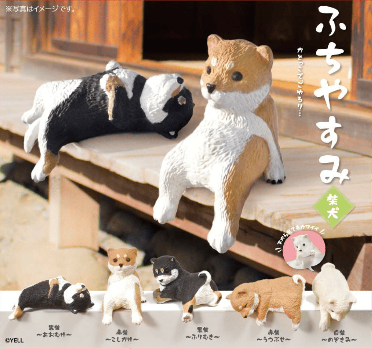 Hakubundo Yell Resting Shibu Surprise Figure Blind Box Kawaii Gifts 4570198782850