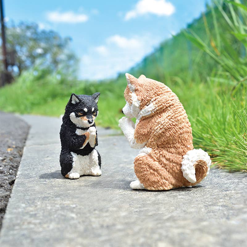 いぬ Yell World Gassho Praying Dog Takumi Surprise Box – Kawaii Gifts