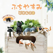 Hakubundo Yell World Resting Cats S.2 Surprise Box Kawaii Gifts 4570198770093