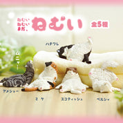 Hakubundo Yell World Sleepy Sleepy Still Sleepy Cat Surprise Box Kawaii Gifts 4573553075635