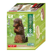 Hakubundo Yell World Praying Dogs Mini Figure Blind Box Kawaii Gifts 4570198778884