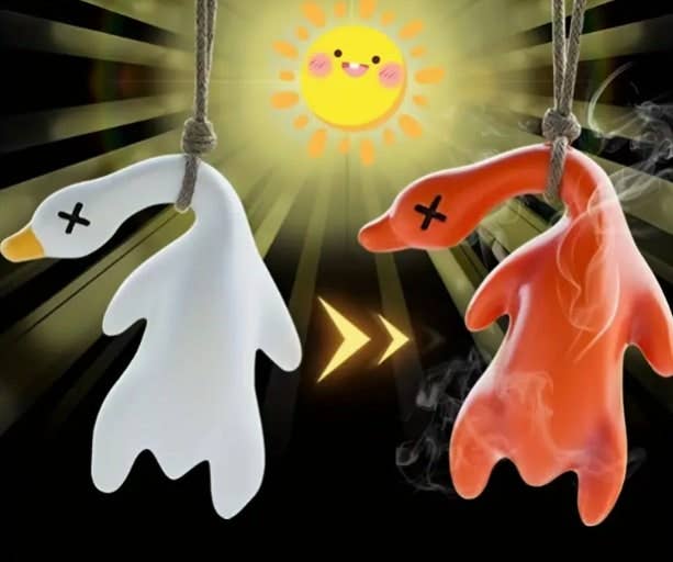 K_Wonderland Beijing Duck Color-Changing Keyring Bag Charm Kawaii Gifts