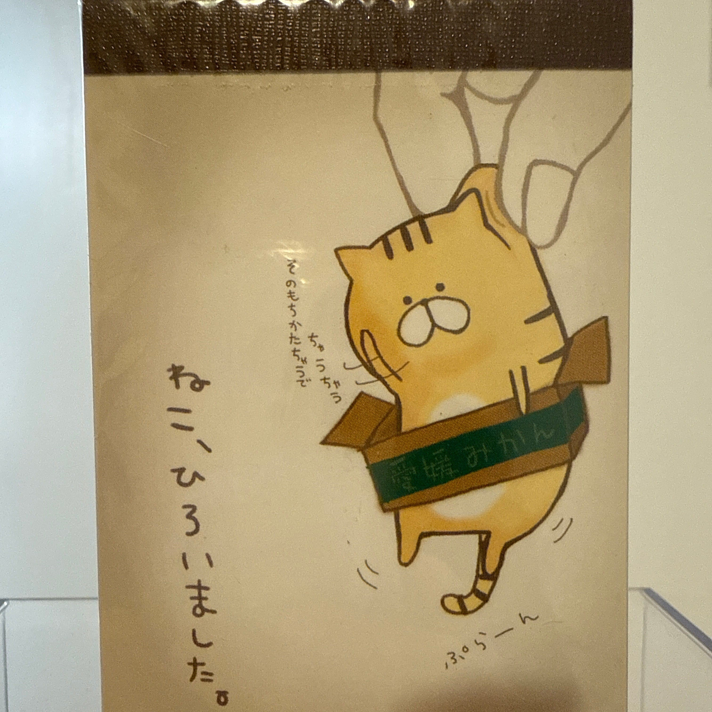 Kawaii Import Tabby Cat Nyanko in a Box Small Memo Pad Kawaii Gifts 4991277100370