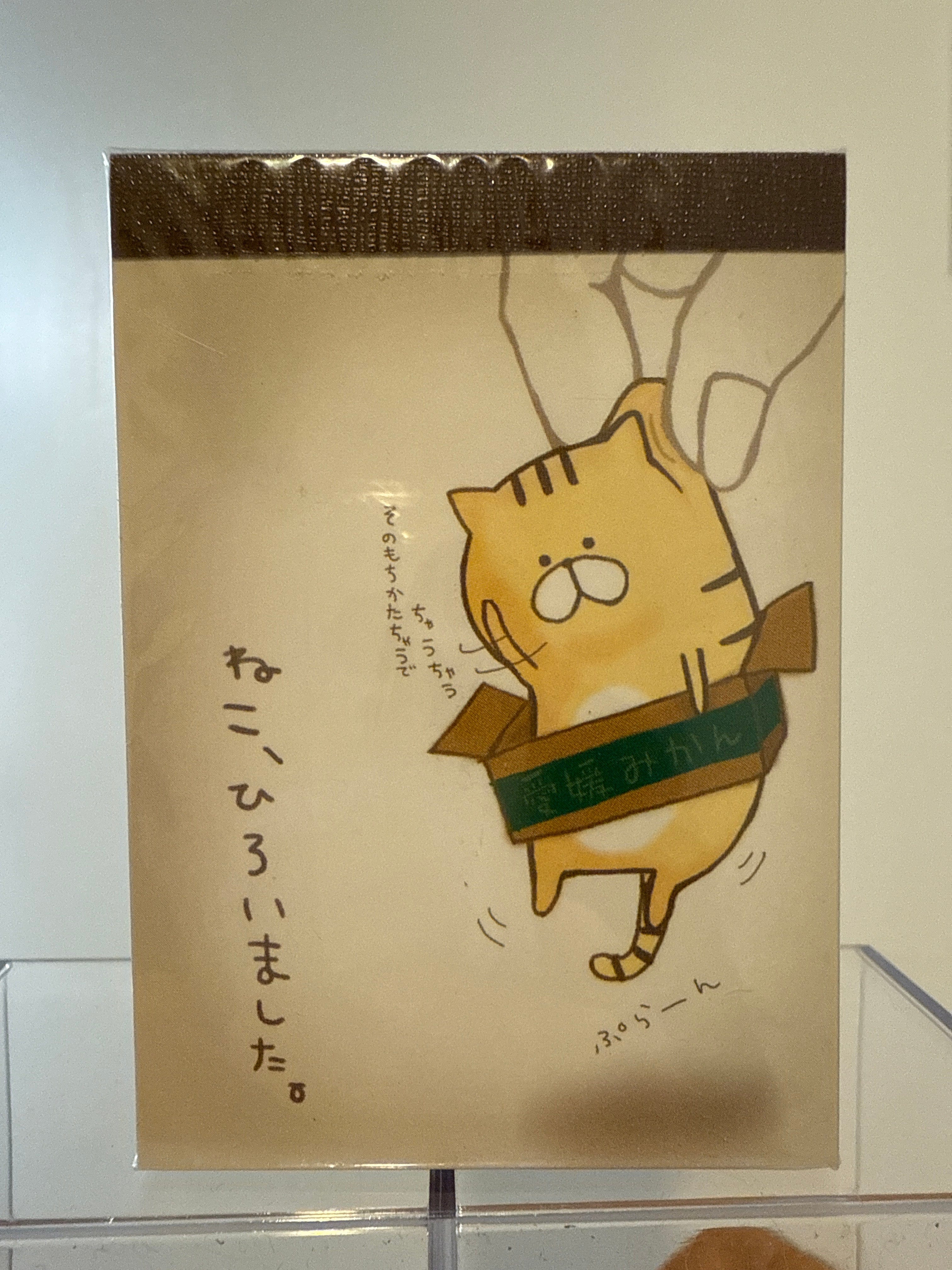 Kawaii Import Tabby Cat Nyanko in a Box Small Memo Pad Kawaii Gifts 4991277100370