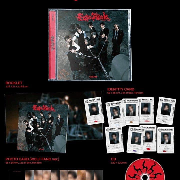 Korea Pop Store [&TEAM] 3rd Single 'Go in Blind' Standard Edition Kawaii Gifts 4988031758809