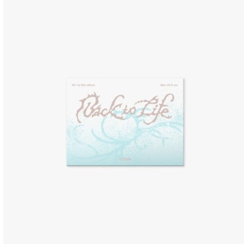 Korea Pop Store &TEAM - KR 1st Mini Album 'Back to Life' Photocard Box (Mini CD-R Ver.) Kawaii Gifts
