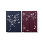 Korea Pop Store &TEAM - KR 2nd Mini Album 'Mark On Me' Kawaii Gifts