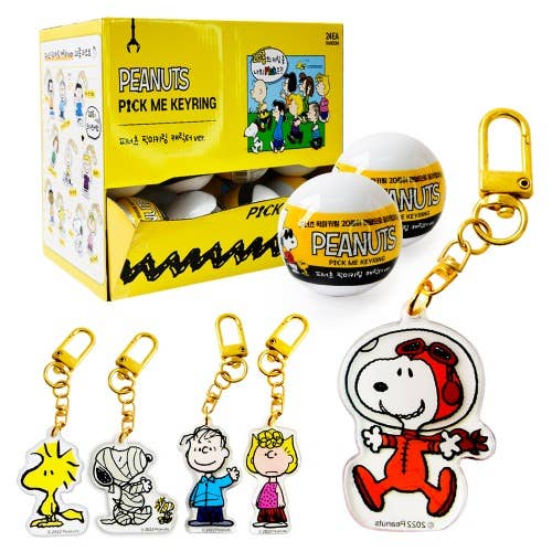 Lucia's K-Wonderland Peanuts Snoopy & Friends Random Key Chain Ring-Bag charm Kawaii Gifts