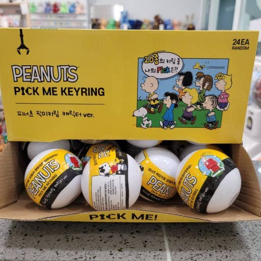 Peanuts Snoopy & Friends Random Key Chain Ring Bag charm – Kawaii