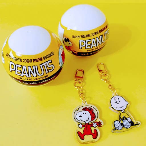 Lucia's K-Wonderland Peanuts Snoopy & Friends Random Key Chain Ring-Bag charm Kawaii Gifts