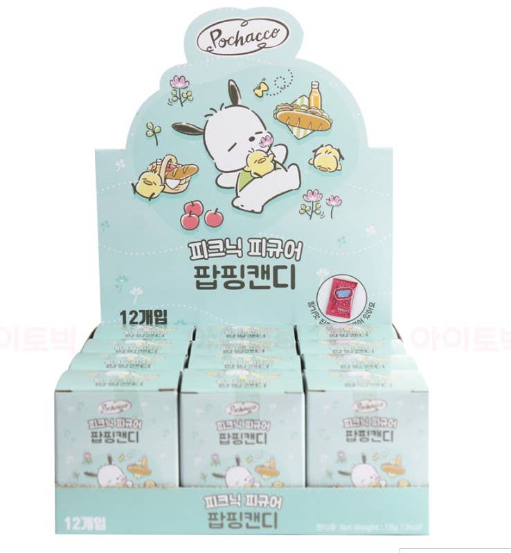 Lucia's K-Wonderland Sanrio Pochacco Picnic Mini Figure Surprise Box Kawaii Gifts 8809928870076
