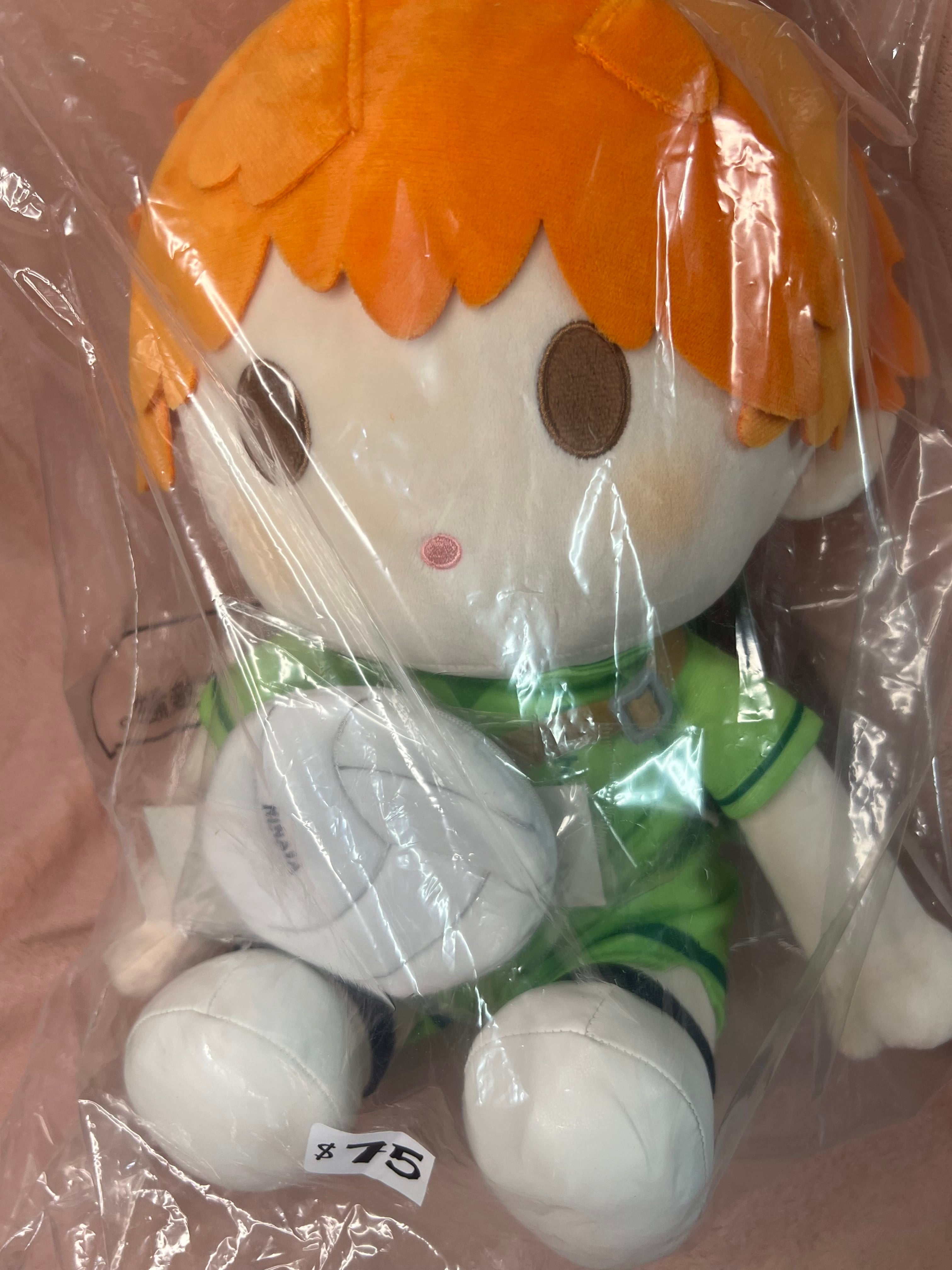 March Monster Haikyu!! POTEPOTTE Memories XL Plush Hinata Kawaii Gifts 6974913234217