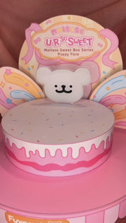 White Maltese Sweet Box with 3 Sweet Maltese Treats Surprise Box